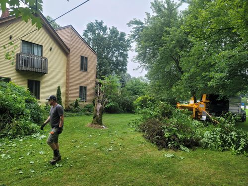Sod Installs for Loyal Construction Management LLC in North Ridgeville, OH