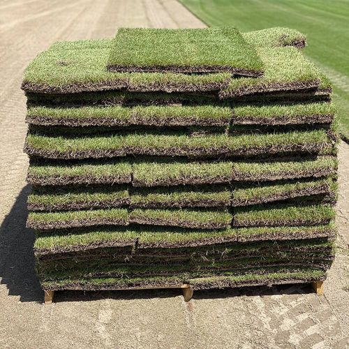  for Poarch Creek Landscaping in Santa Rosa Beach, FL