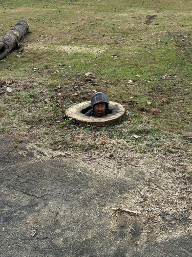  for Brocks Tree Service LLC in Rogersville, TN