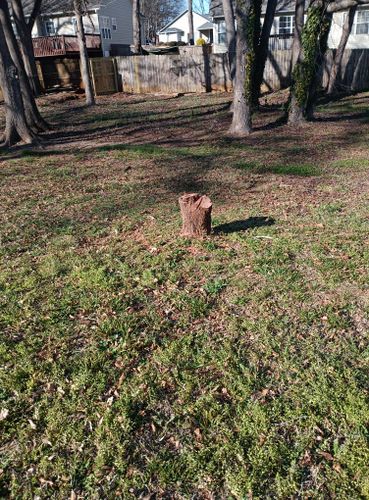  for Lindsey's Lawn Care in Inman, SC