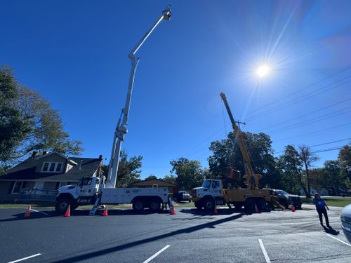 Tree Removal for Lamb Brothers Clearing in Murray, KY