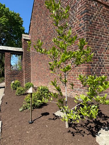 Softscaping for Hillside Landscape & Design in Chesterland, OH