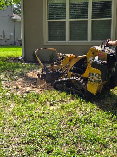 Stump Removal for Near Me Tree Service, Inc. in DeLand, FL