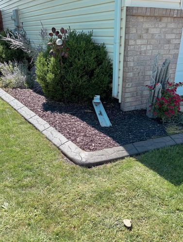 Tree & Shrub Care for Boots Borders in Westville, IN