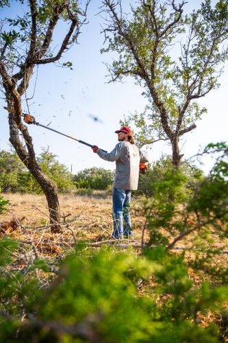 Tree Trimming & Removal for 512 Land Clearing in Blanco County, TX