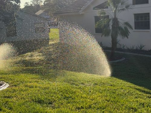  for Pavone Irrigation in Spring Hill, FL