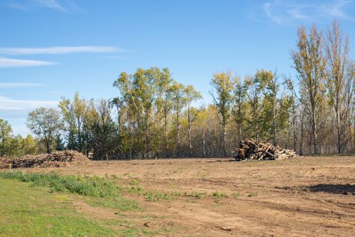 Commercial Land Clearing and Demolition for Benefield Dirt & Trucking in Monroe, LA