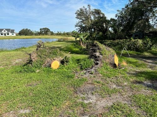 Stump Removal for Adam's Tree and Stump Care in Bradenton, Florida