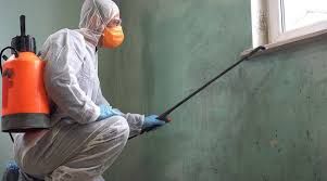 Mold Inspection & Assessment for EFG Cleaning and Restoration in Poughkeepsie, NY