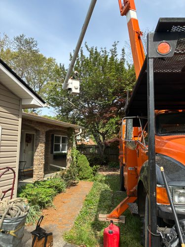 for Brocks Tree Service LLC in Rogersville, TN