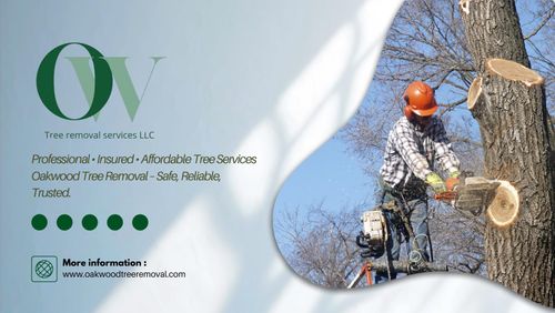  for Oakwood Tree Removal LLC in Oak Creek,  WI