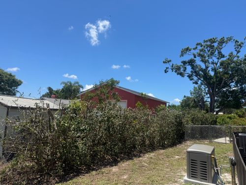 Trimming for Adam's Tree and Stump Care in Sarasota, FL
