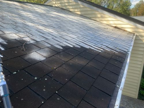 Pressure Washing for Calvert Clean Up, Pressure Washing & Hauling LLC in Pasadena, MD