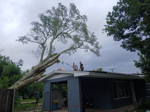 All Photos for A Southern Style Tree Service in Orlando, FL