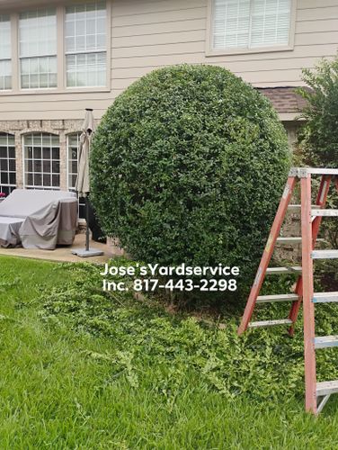 Landscape Design for Jose's Yardservice in Keller, TX