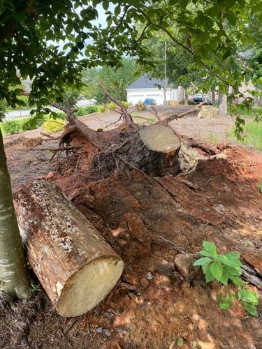 Stump Excavation for Dozier Stump Grinding in Augusta, GA