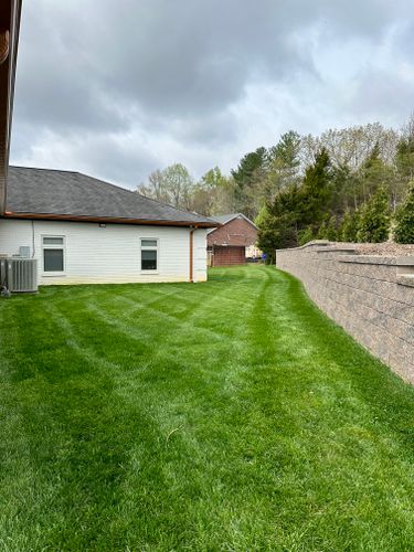  for Fenix Lawn Care in Cookeville, TN