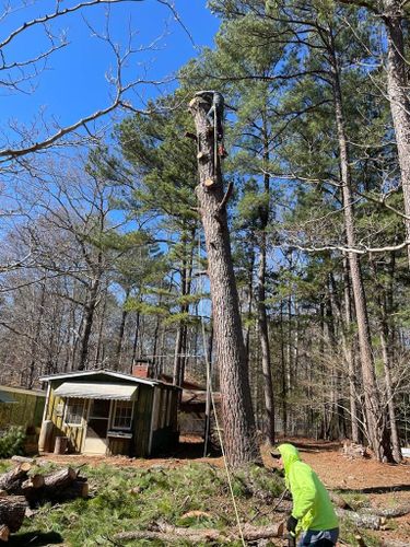 Tree Removal for Rosales Landscaping LLC in Lake Gaston, North Carolina