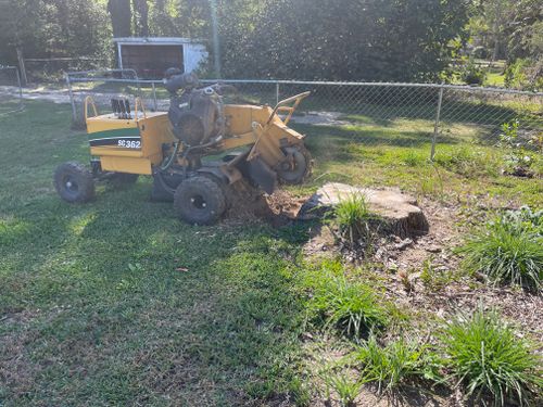 Stump Grinding for MJB’s Stump Grinding LLC in Tennille, GA