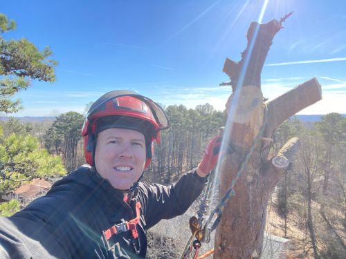 All Photos for Pinedown LLC in Cherokee County, GA