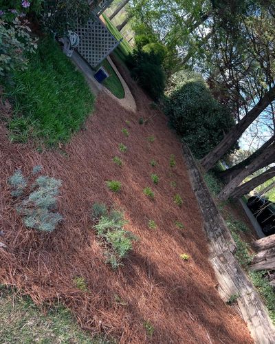 Lawn Maintenance for Amerigreen Lawn & Landscape in Atlanta, GA