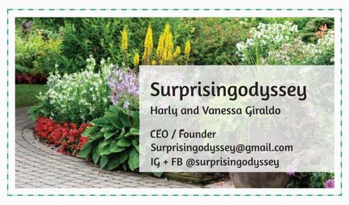 Landscaping for Surprising Odyssey in Gibsonville, NC