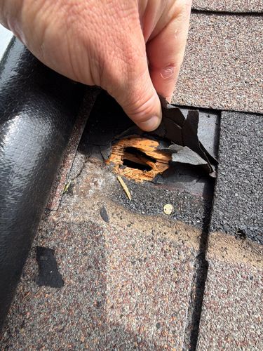 Causation and Damage Expert Reports for Catastrophe Loss Consultants in Fort Worth, TX