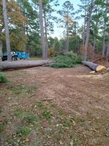  for J&S Tree Services  in Quitman,  TX