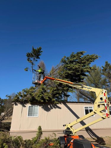 All Photos for Ramirez Tree Care in Elkin, NC