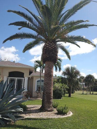 Flowerbed Installation and Maintenance for Unity Maintenance and More LLC in Englewood, FL