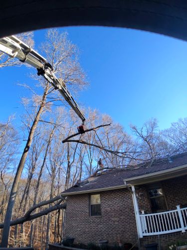  for Darbie's Tree Service in Newburg,  MD