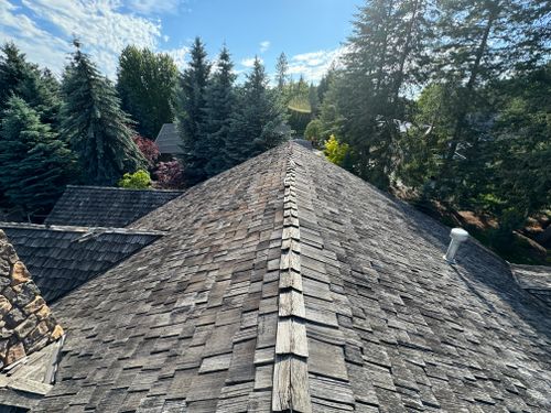 All Photos for Swift Serve in Coeur d'Alene, ID