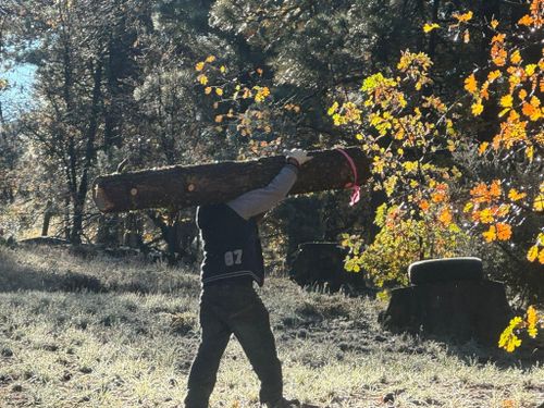 Property Beautification for The Tree Fairy in Julian, CA