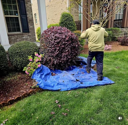 Landscaping for Surprising Odyssey in Gibsonville, NC