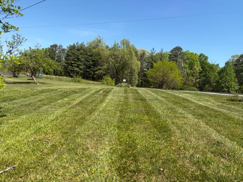 All Photos for The Yard Barbers in Somerset, KY