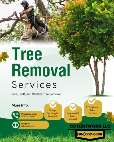  for CJ Dirtwork in Crescent City, FL