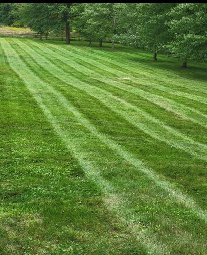 Garden Maintenance for Cristians Maintenance and Hardscaping LLC in Bedminster, NJ