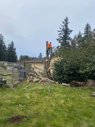 Shrub Trimming for Juan Esteban Landscape service LLC  in Bonney Lake, WA