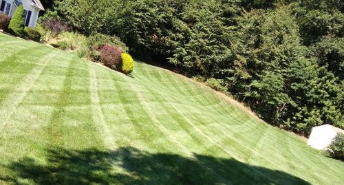 Lawn Care Management for Grassy Turtle Services, LLC.  in Oxford, CT