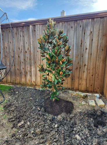 All Photos for Lavon Lawn Plus in Lavon, TX