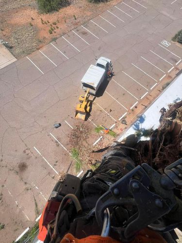 Stump Removal for By Faith Landscaping in Sierra Vista, AZ