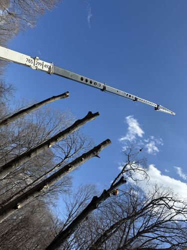  for Advanced Tree Solutions in Rockville, IN