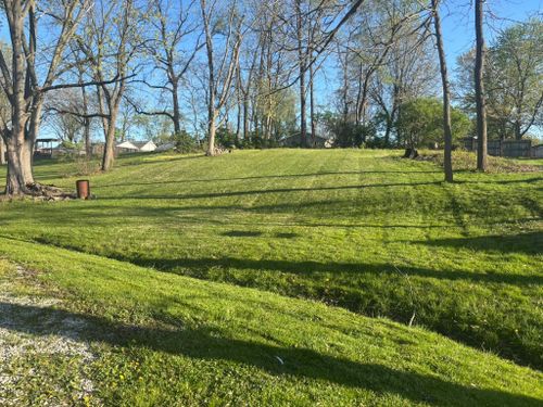 Yard Cleanup for KY Lawn Care in Springfield, IL