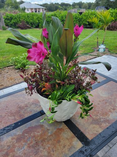 Custom Plant Bouquets for Lawn Caring Guys in Cape Coral, FL