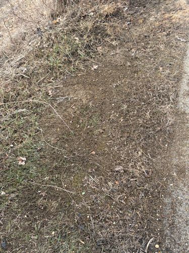 All Photos for Poop Pals NH in Gilford, NH