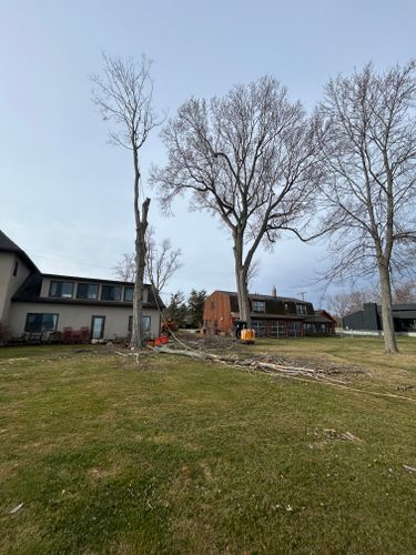  for S.H. Tree Service LLC in Hilton, NY