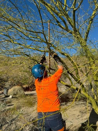Property Beautification for The Tree Fairy in Julian, CA
