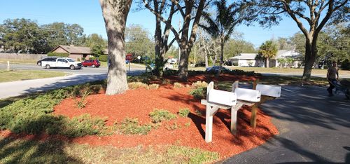 All Photos for Gratsch Landscaping and Tree Trimming llc in Spring Hill, Florida