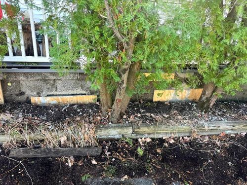  for James T. Coughlan Restoration in Brockton, MA