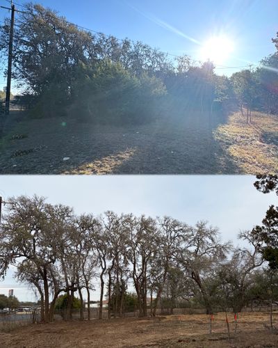 Tree Trimming & Land Clearing for Bad Axe Landscapes LLC in Blanco, TX